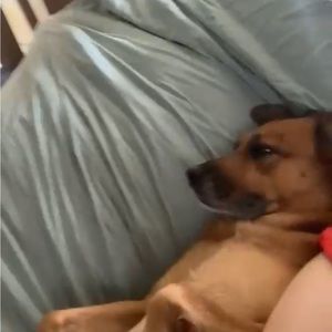 Meet your Posher, Jeremy